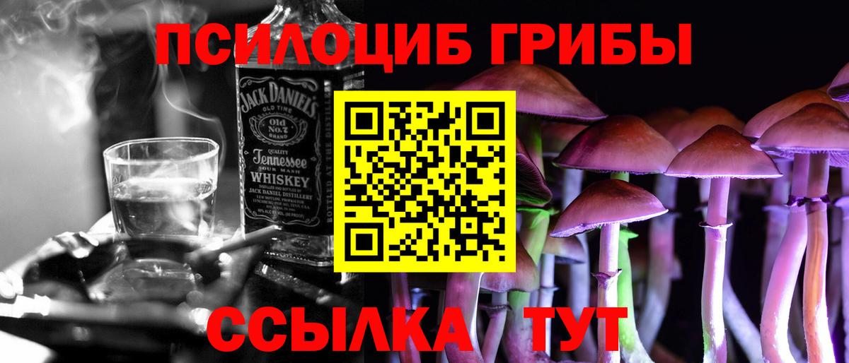 Псилоцибиновые грибы Psilocybe  Вход с VPN  Галлюциногенные грибы прущие грибы  Россия 