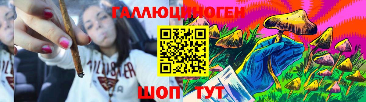 Псилоцибиновые грибы прущие грибы Россия